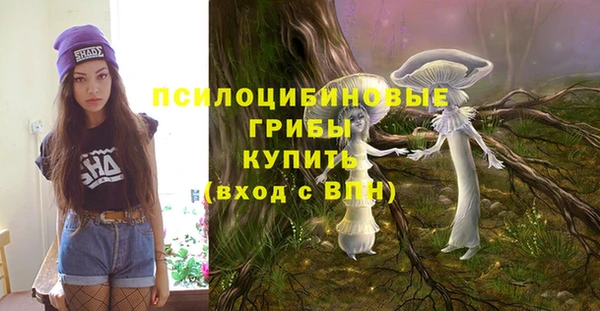 стафф Верхний Тагил