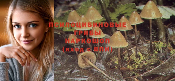 спиды Верея