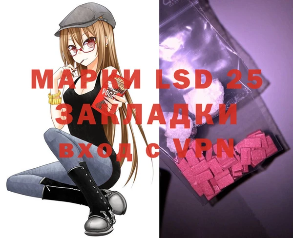 спиды Верея