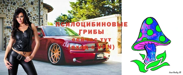 спиды Верея