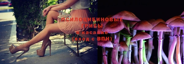 стафф Верхний Тагил